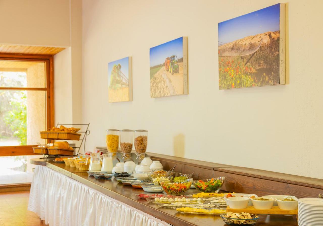 Gvulot - Kibbutz Experience Villa Gevulot Ngoại thất bức ảnh
